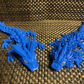 IMG_0016.JPG