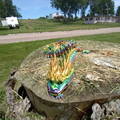 IMG_20220612_125704.jpg