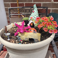 IMG_20220612_131807.jpg