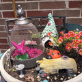 IMG_20220612_132052.jpg