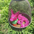 IMG_20220612_132117.jpg