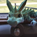 IMG_20220612_140934.jpg