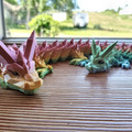 IMG_20220612_152537.jpg